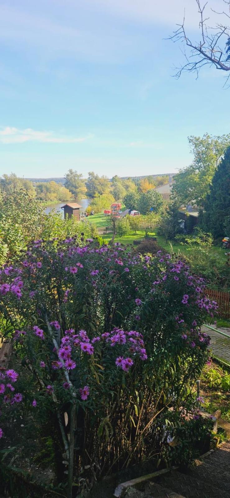 Pension Gasthaus Zum Pegel Naumburg  Esterno foto